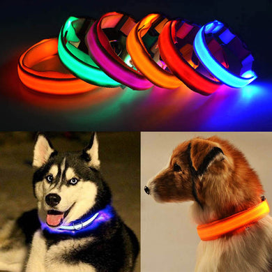 Nylon Pet Dog Collar LED Light Night Safety Light-up Flash Glowing in Dark Cat Collar LED Dog Collars Small Dogs Dog Accessories